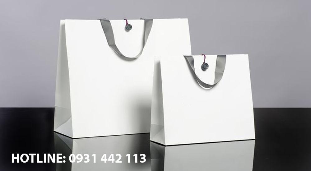 túi giấy có quai
