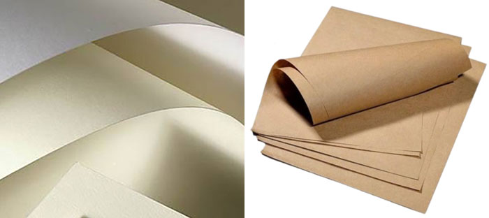 các loại giấy ford